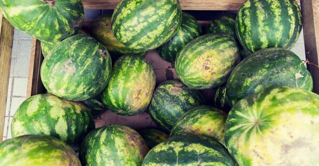 Как выбрать спелый арбуз, не пробуя его на вкус