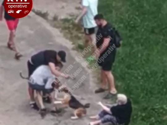 В Киеве пьяный натравил стаффордширского терьера на женщину с собакой. ВИДЕО