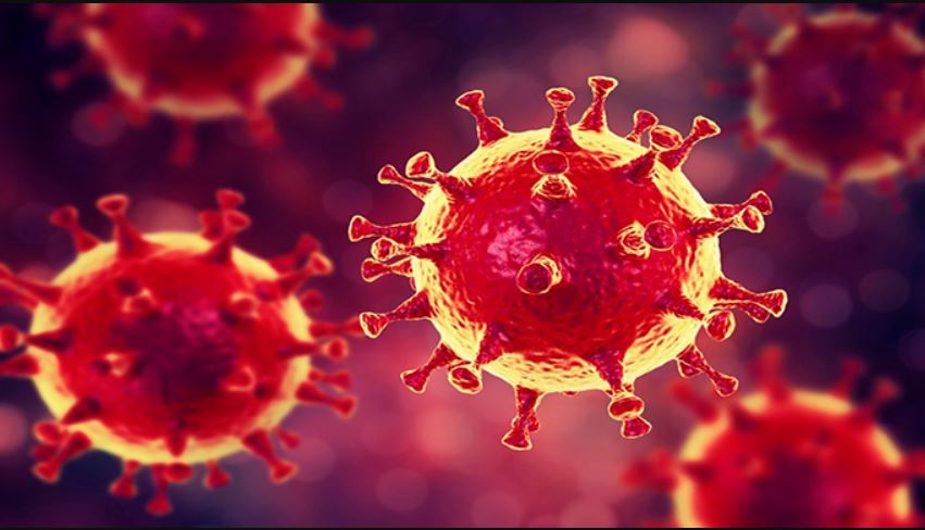 Ученые высчитали появление нового коронавируса