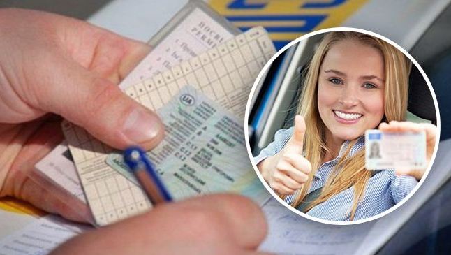 В Украине изменились правила получения водительского удостоверения: МВД утвердило две инструкции