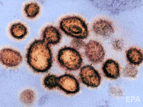 Новый коронавирус угрожает миру: предупреждение ученых