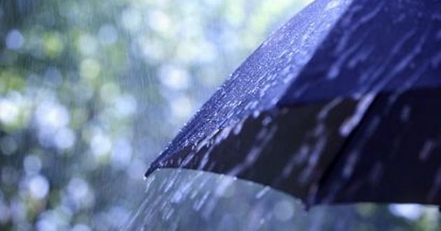Дожди с грозами поделят Украину: синоптики дали прогноз погоды на 16 июля
