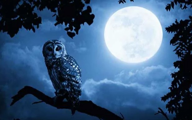 Что не стоит делать на ночь: главные суеверия и приметы