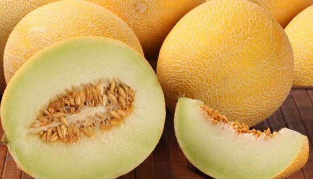 Как выбрать вкусную дыню: несложные советы