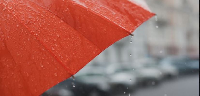 Где сегодня не обойтись без зонта: синоптики дали прогноз