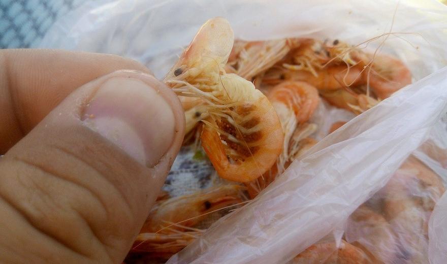 Где покупать креветки, чтобы не отравиться: тайны пляжных продавцов