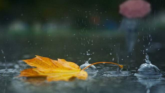 17 сентября в Украине будет тепло, но с дождями