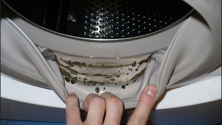 Домашнее чудо-средство: как просто избавиться от плесени в стиральной машине