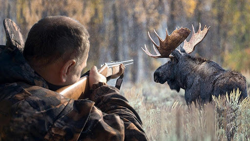 В Україні хочуть заборонити полювання та інші види негуманного поводження с тваринами