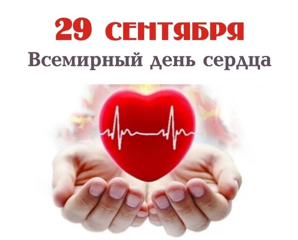 Бахтеева: В Украине сердечно-сосудистые заболевания являются основной причиной смертности