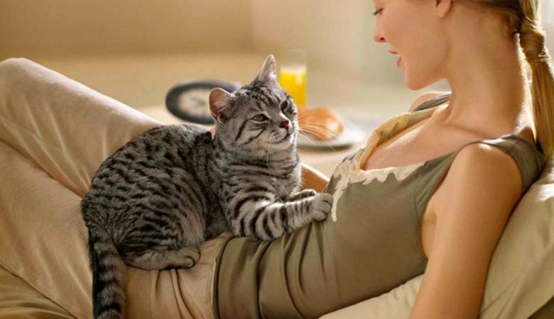Зачем кошки, прежде чем лечь, мнут человека лапками