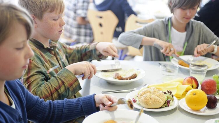 Украинских школьников не будут кормить сосисками и поить газировками