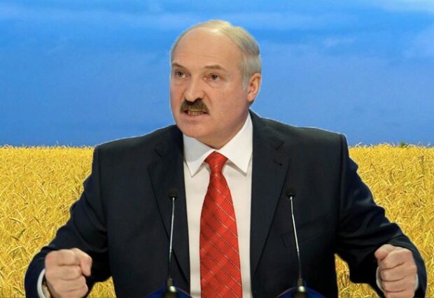 «Нечего было лезть в наш огород!»: Лукашенко резко высказался о Зеленском