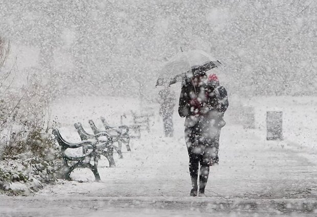 Часть Украины накрыл первый снег: ФОТО зимней сказки 