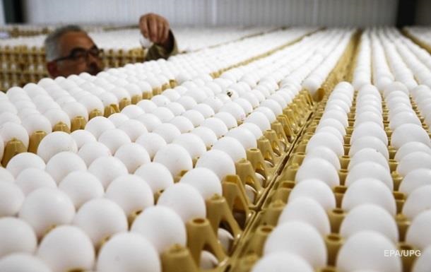 Осторожно, опасны для здоровья: в ЕС забраковали украинские яйца