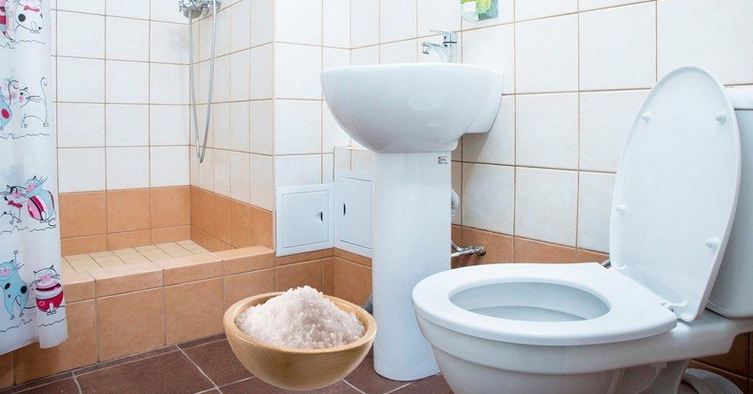 Для чего японцы ставят соль в туалете: может, нам тоже стоит так делать