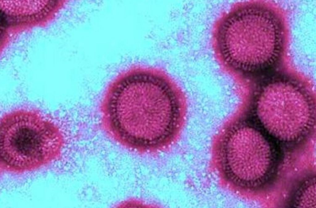 Болезнь X: что придёт на смену COVID-19