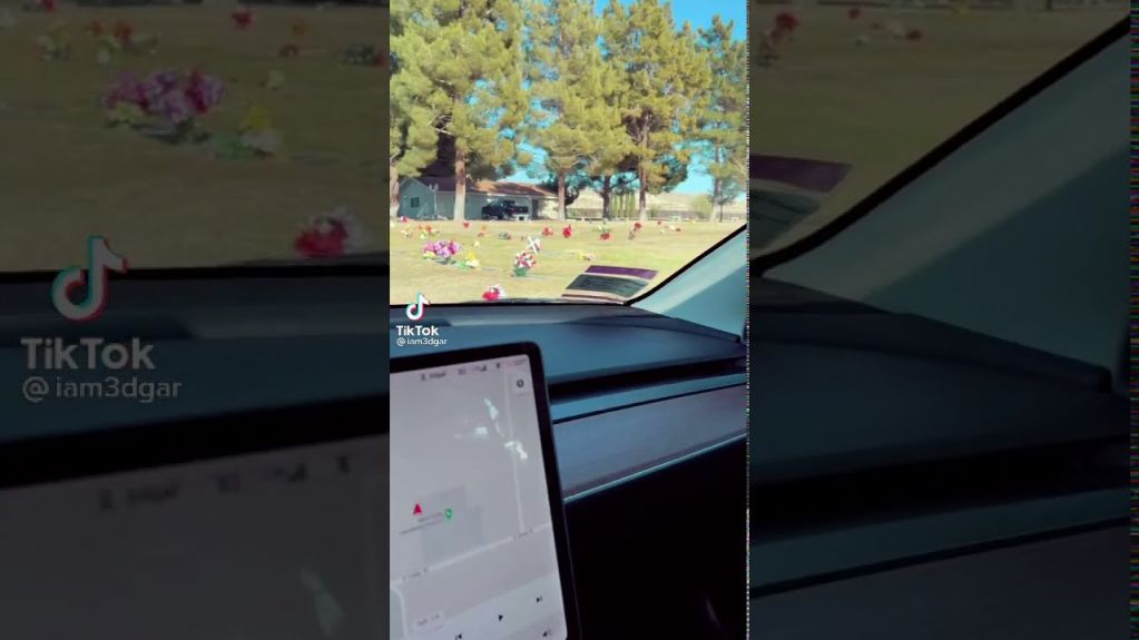 Датчики Tesla зафиксировали на кладбище "невидимку". ВИДЕО