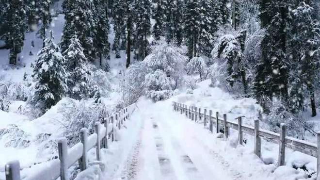 15 января почти по всей Украине будут снегопады и морозы
