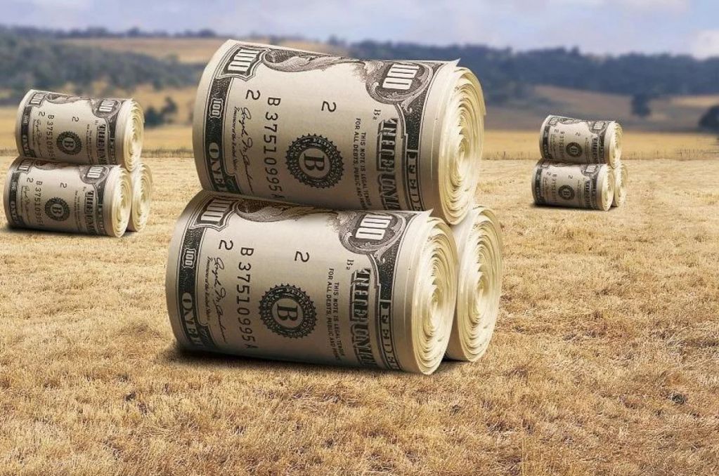 Директорка пограбувала агрофірму у Чернігові на 1 млн грн., а тепер вимагає компенсацію моральної шкоди