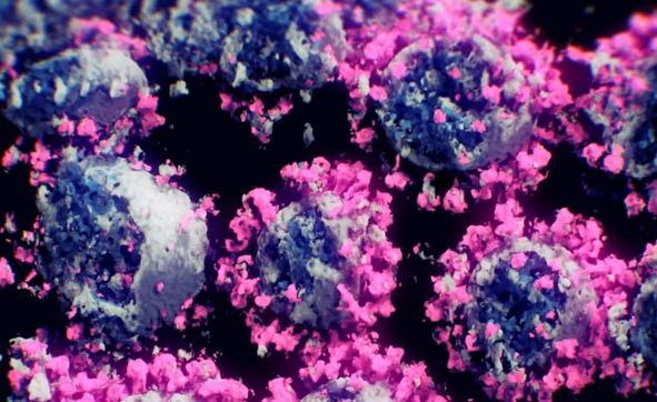Коронавирус в 3D-виде: ученые впервые показали эффектную заразу. ВИДЕО