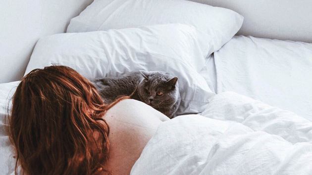 Почему коты любят спать на человеке: специалисты дали ответ