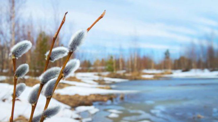 Резкое потепление: стало известно, когда в Украину ворвется весна