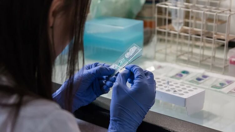 В организме больной гражданки РФ обнаружили 18 мутаций коронавируса