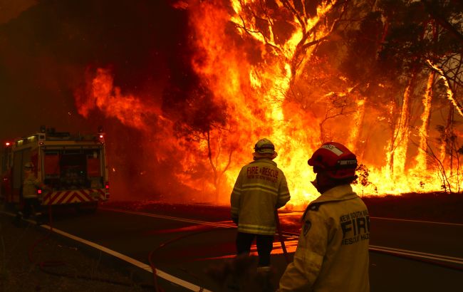 Сотни людей эвакуированы, более 70 домов разрушены: Австралию охватили масштабные лесные пожары