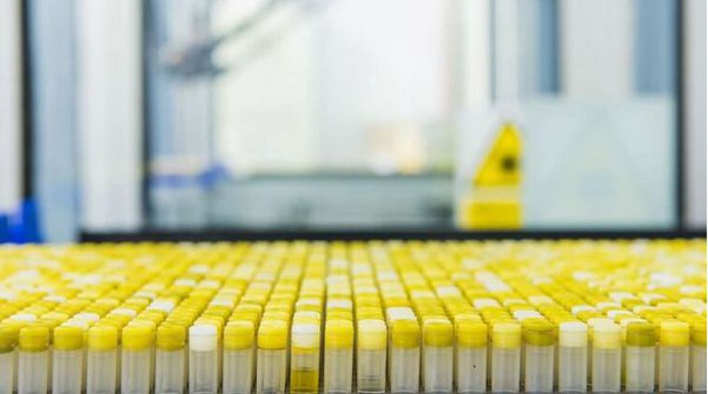 Страны ЕС поделятся с Украиной вакциной от Covid-19:  подробности