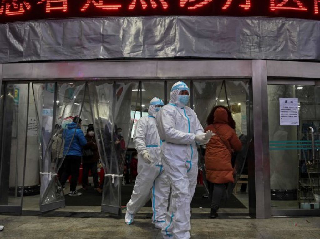 Летучие мыши  не виноваты: ВОЗ сделала важные выводы о происхождении ковида