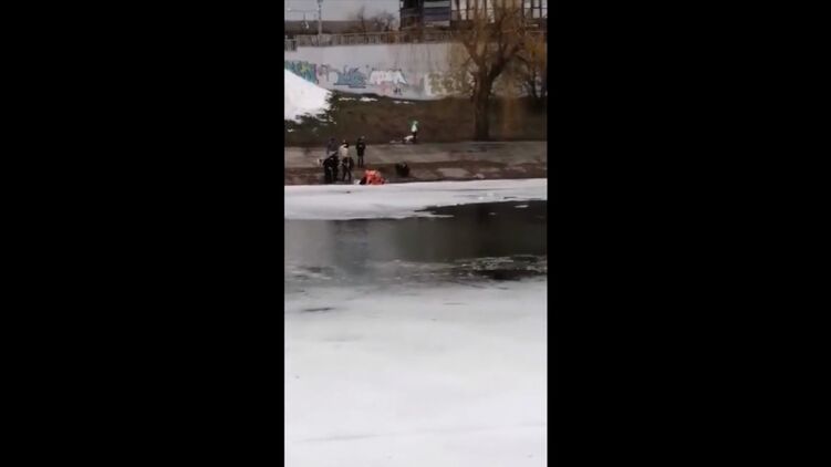 Сотрудники ГСЧС спасли киевлянку с собакой, провалившихся под лед. ВИДЕО