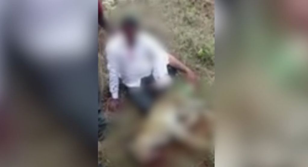 Мужчина убил напавшего леопарда голыми руками. ВИДЕО