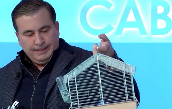 Элита Коррупция: Саакашвили притащил крысу на прямой эфир 
