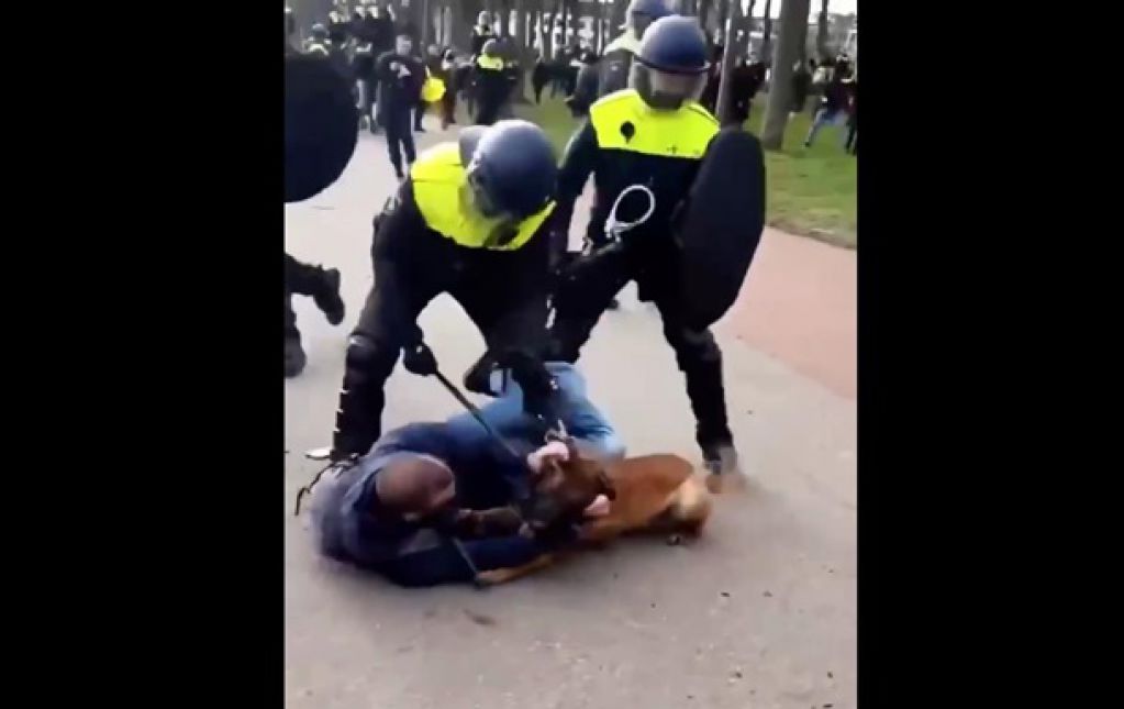 В Гааге на протестующих против карантина натравили собак