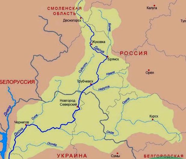 В РФ предложили украсть воду из Десны, чтобы не доставалась Украине. ФОТО