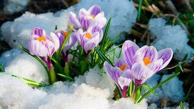 8 апреля в Украине немного потеплеет, но местами будет падать мокрый снег