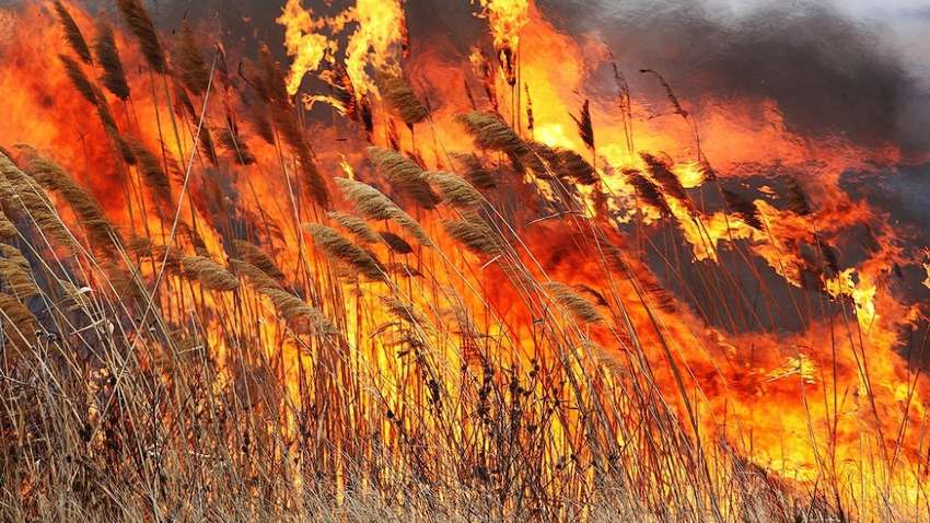 В Украине ужесточили штрафы за создание пожарной ситуации  