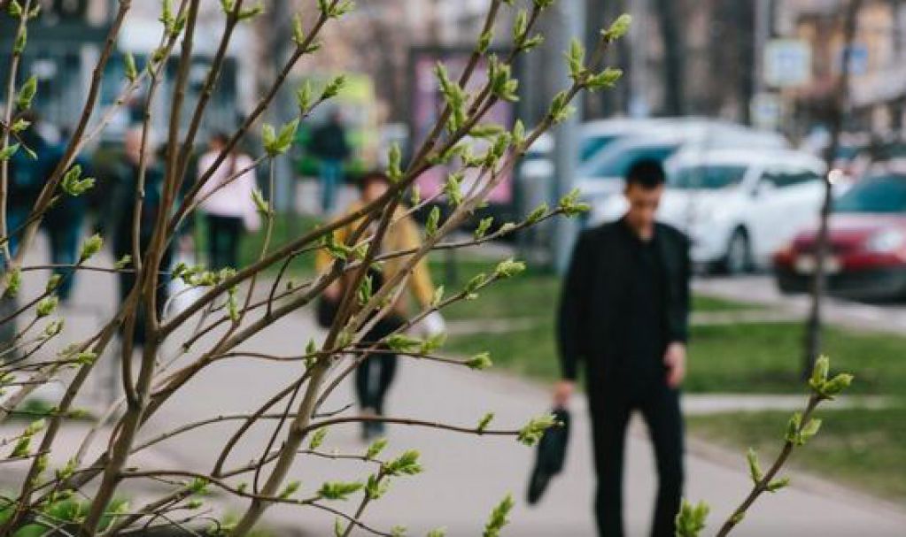 Апрель закончится грозами и потеплением до +21