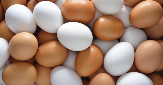 На рынке или в магазине: где лучше покупать яйца