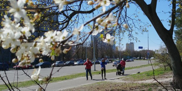 Эти знака Зодиака ждет особое везение в мае: кого накроет счастьем