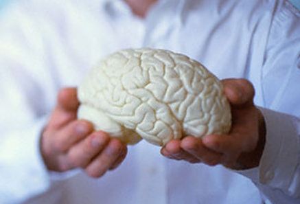 Что происходит с мозгом человека после смерти: первые сутки удивили ученых