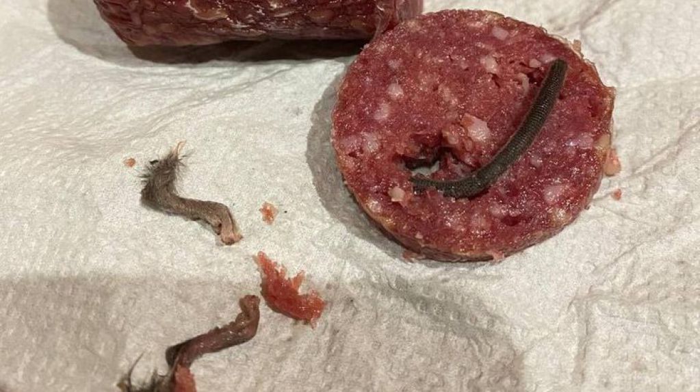 Вместо мяса украинец нашел в колбасе крысиные лапы и хвосты