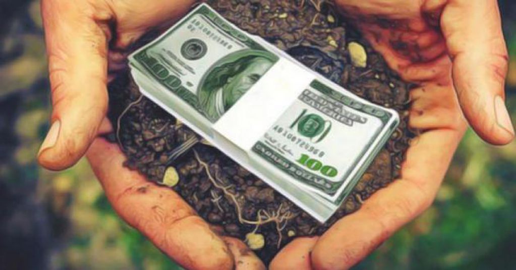 Земельный аукцион: аграриям сообщили правила продажи