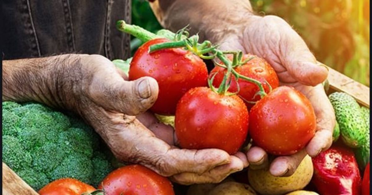 заробитчане