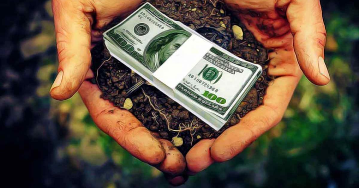 Рынок земли