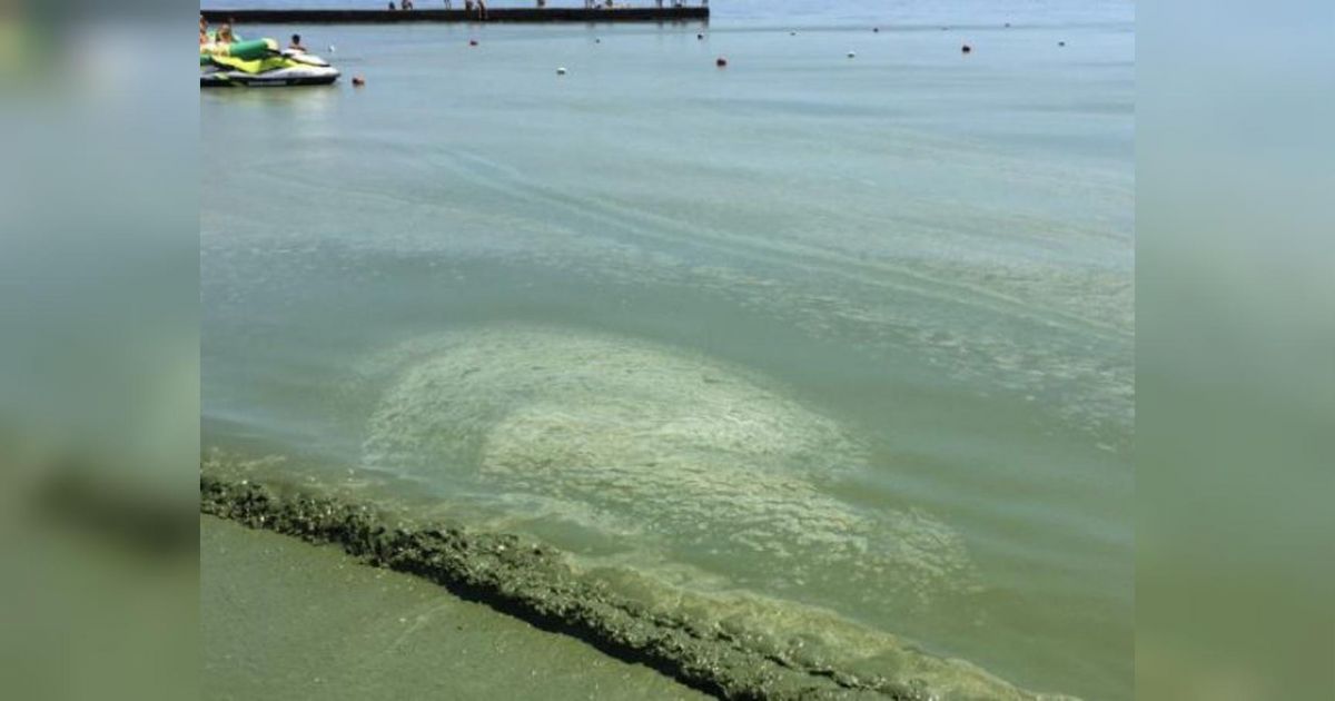 Море в Одессе