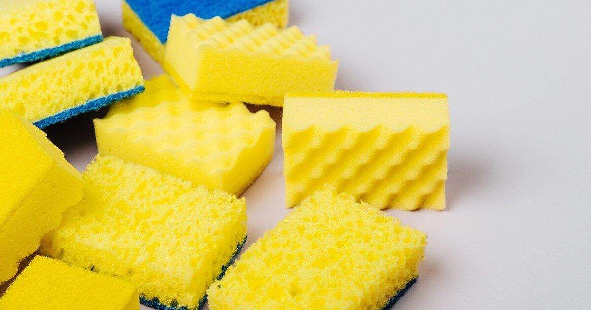губки