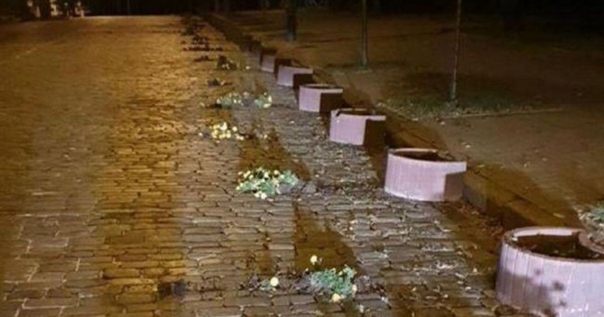 Повреждённые клумбы на Аллее Героев Небесной сотни