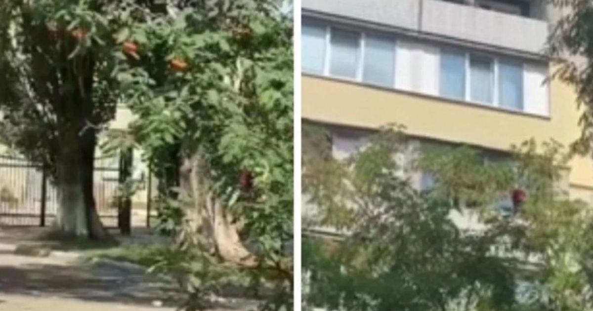 Дом